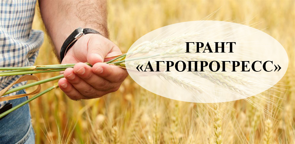 Грант на реализацию проектов агропрогресс